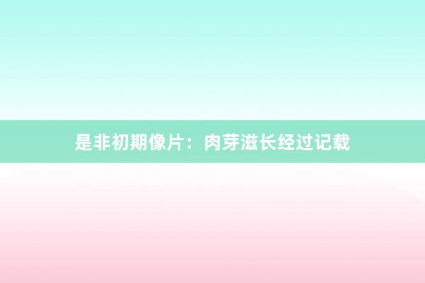 是非初期像片：肉芽滋长经过记载
