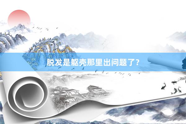 脱发是躯壳那里出问题了？